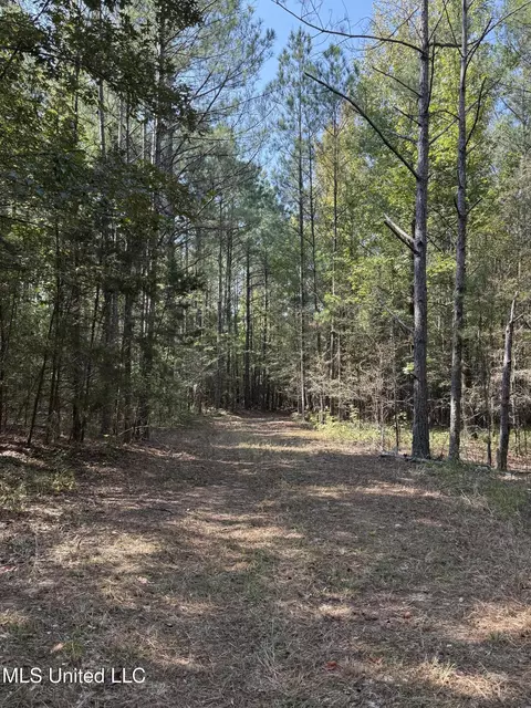 Race Track Road, West, MS 39192 photo 9
