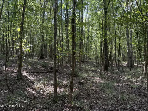 Race Track Road, West, MS 39192 photo 30