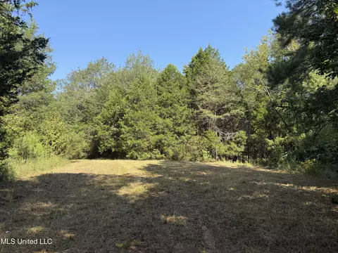 Race Track Road, West, MS 39192 photo 17
