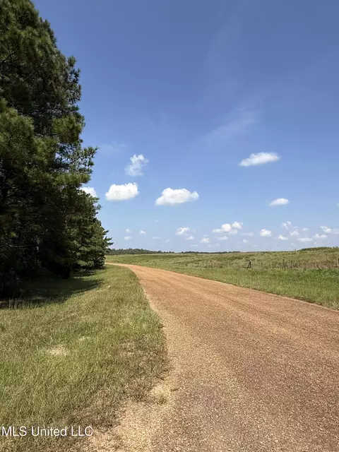 Race Track Road, West, MS 39192 photo 33