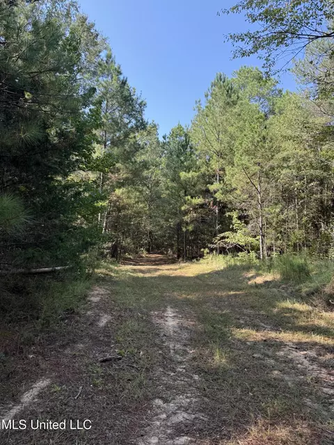 Race Track Road, West, MS 39192 photo 15