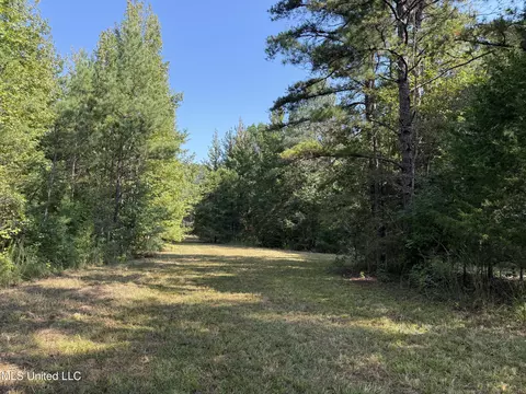 Race Track Road, West, MS 39192 photo 11