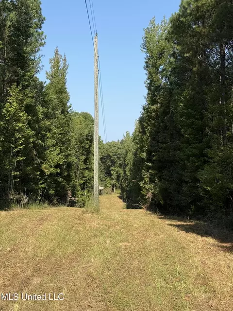 Race Track Road, West, MS 39192 photo 10