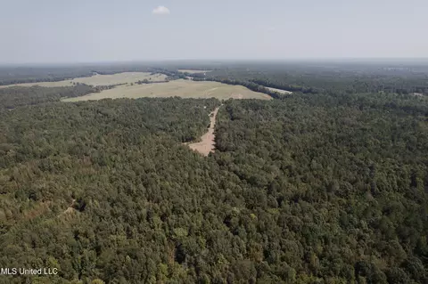 Race Track Road, West, MS 39192 photo 42