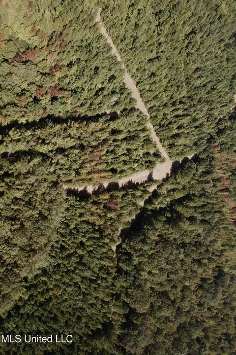 Race Track Road, West, MS 39192 photo 41