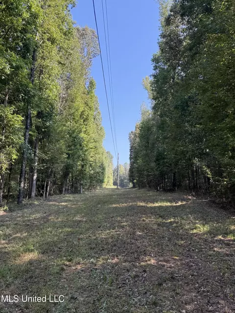 Race Track Road, West, MS 39192 photo 27