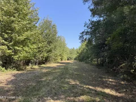Race Track Road, West, MS 39192 photo 12