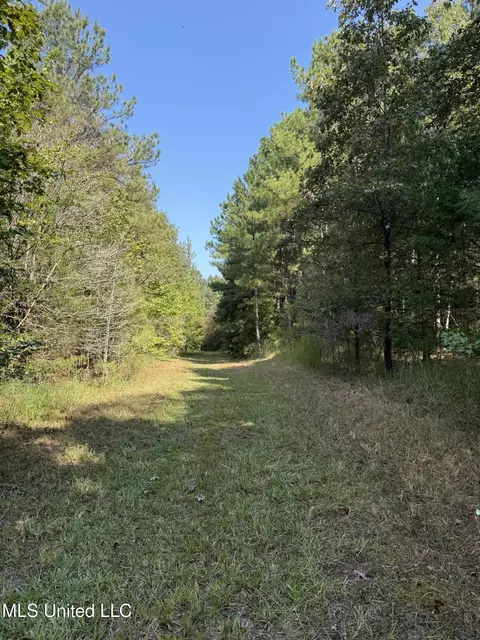 Race Track Road, West, MS 39192 photo 25