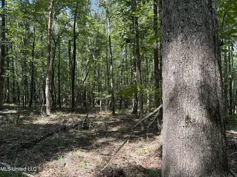 Race Track Road, West, MS 39192 photo 31