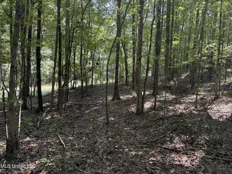 Race Track Road, West, MS 39192 photo 13