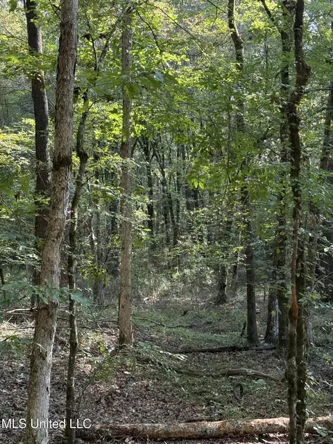 Race Track Road, West, MS 39192 photo 5
