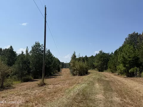 Race Track Road, West, MS 39192 photo 32