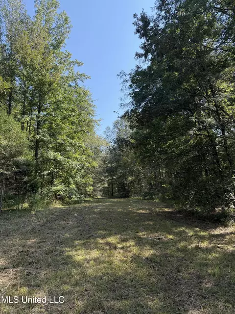 Race Track Road, West, MS 39192 photo 23