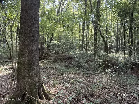 Race Track Road, West, MS 39192 photo 6