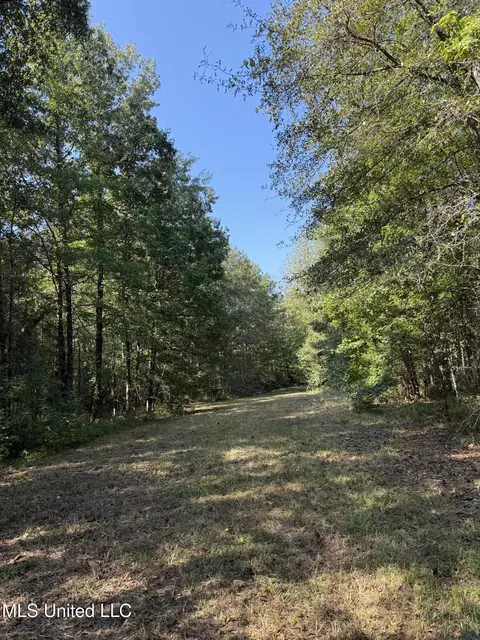 Race Track Road, West, MS 39192 photo 19