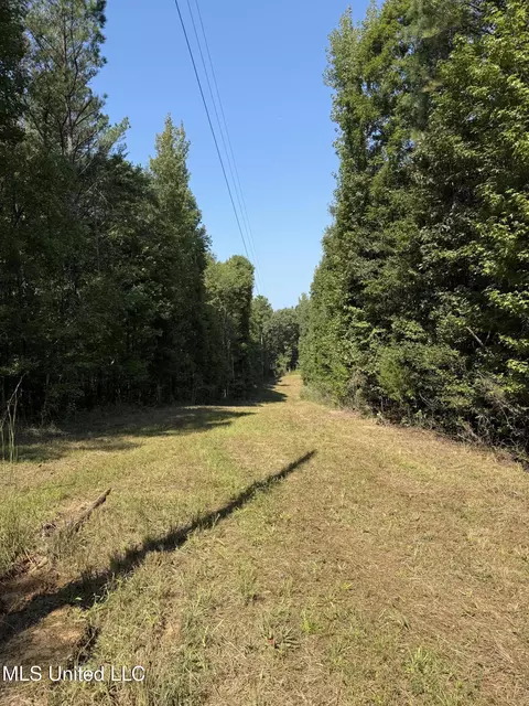 Race Track Road, West, MS 39192 photo 29