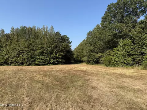 Race Track Road, West, MS 39192 photo 8