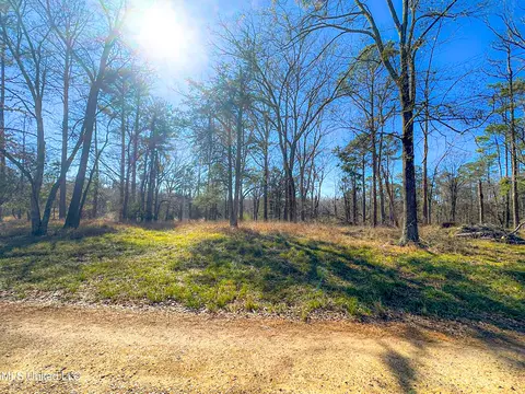 Picnic Hill Road, Madison, MS 39110 photo 12