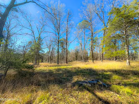 Picnic Hill Road, Madison, MS 39110 photo 9