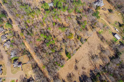 Picnic Hill Road, Madison, MS 39110 photo 5