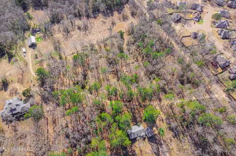 Picnic Hill Road, Madison, MS 39110 photo 2