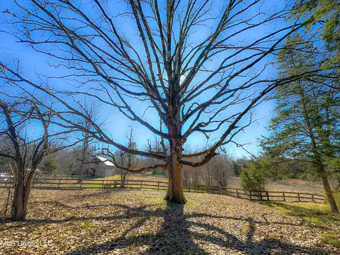 Picnic Hill Road, Madison, MS 39110 photo 7