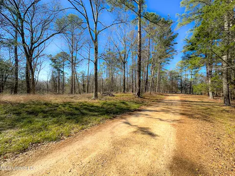 Picnic Hill Road, Madison, MS 39110 photo 11