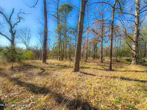 Picnic Hill Road, Madison, MS 39110 photo 6