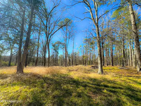 Picnic Hill Road, Madison, MS 39110 photo 10