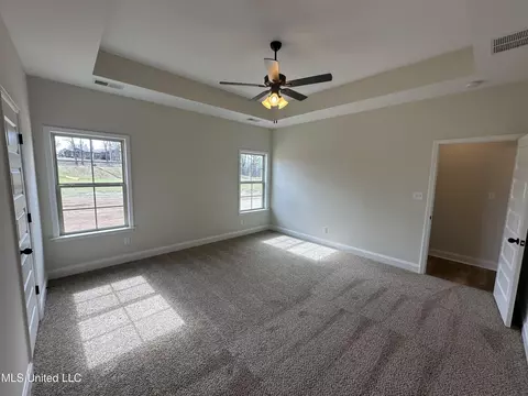 897 Collie Dr, Hernando, MS 38632 photo 12