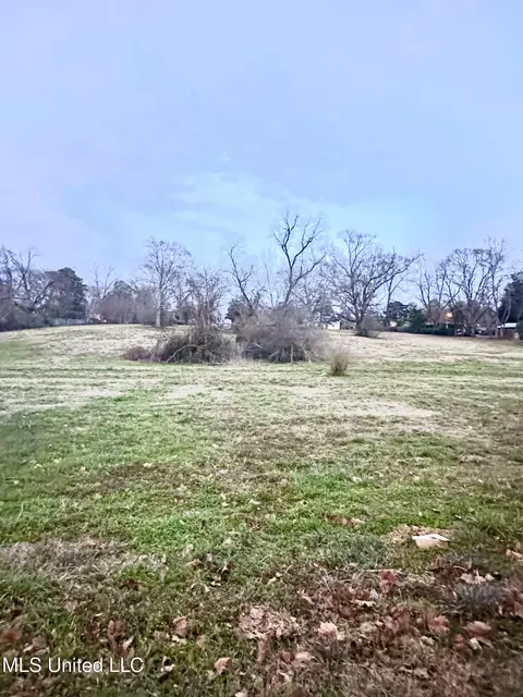 0 SW 4th Ave, Magee, MS 39111 photo 3
