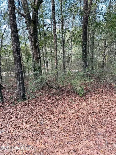 127 Oakhaven Drive 27 Acres, Lucedale, MS 39452 photo 4