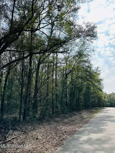 127 Oakhaven Drive 27 Acres, Lucedale, MS 39452 photo 5