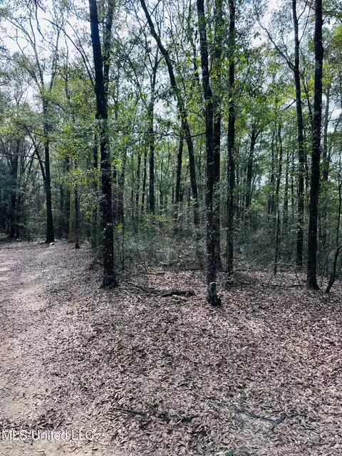 127 Oakhaven Drive 27 Acres, Lucedale, MS 39452 photo 3