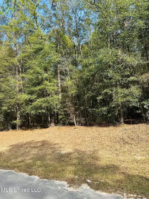 127 Oakhaven Drive 27 Acres, Lucedale, MS 39452 photo 6