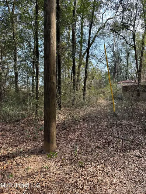 127 Oakhaven Drive 27 Acres, Lucedale, MS 39452 photo 2
