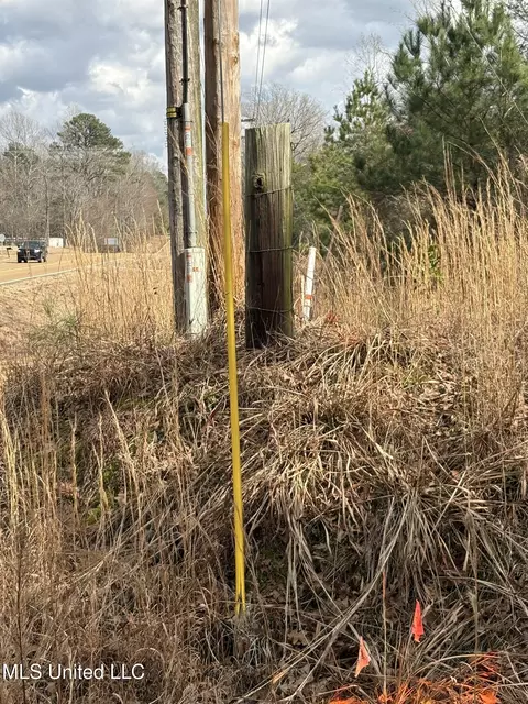 3012 Hwy 80, Brandon, MS 39042