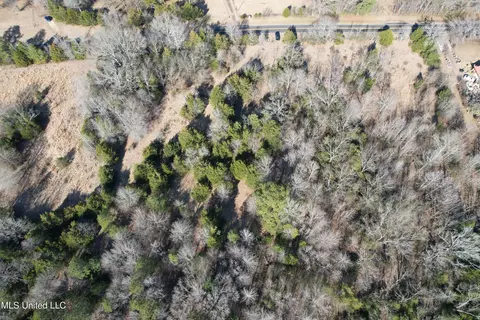 Off Robinson Springs Road, Flora, MS 39071 photo 4