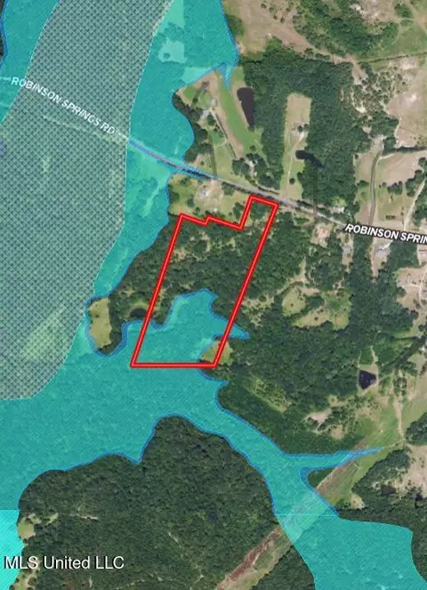 Off Robinson Springs Road, Flora, MS 39071 photo 22