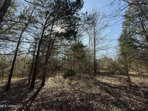 Off Robinson Springs Road, Flora, MS 39071 photo 6