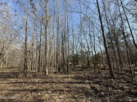 Off Robinson Springs Road, Flora, MS 39071 photo 11