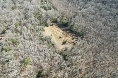 Off Robinson Springs Road, Flora, MS 39071 photo 2