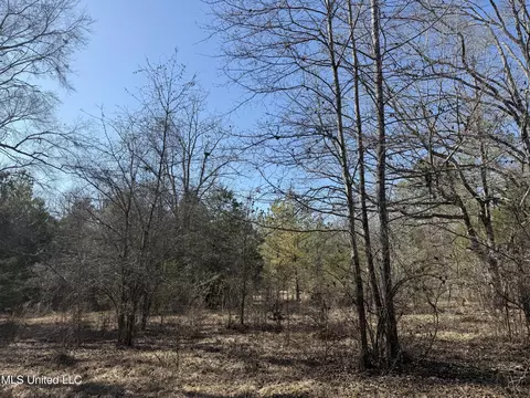 Off Robinson Springs Road, Flora, MS 39071 photo 7