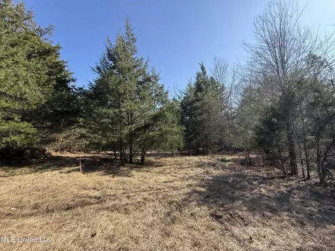 Off Robinson Springs Road, Flora, MS 39071 photo 14