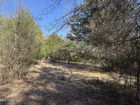 Off Robinson Springs Road, Flora, MS 39071 photo 17