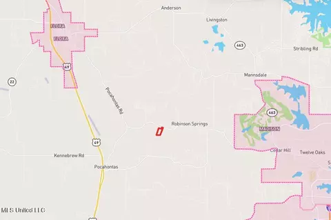 Off Robinson Springs Road, Flora, MS 39071 photo 20