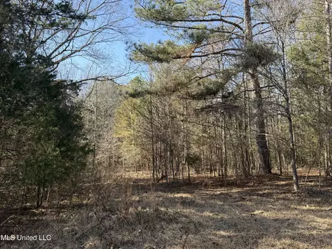 Off Robinson Springs Road, Flora, MS 39071 photo 13
