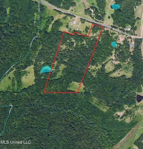 Off Robinson Springs Road, Flora, MS 39071 photo 19