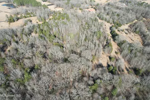 Off Robinson Springs Road, Flora, MS 39071 photo 3