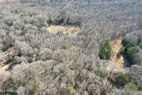 Off Robinson Springs Road, Flora, MS 39071 photo 5